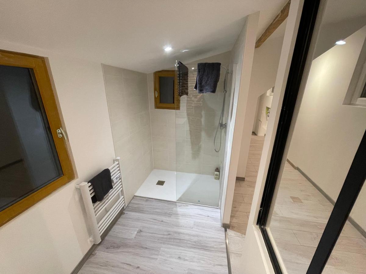 BELLEVUE Appartement sous les toits hypercentre climatisé Dole Esterno foto