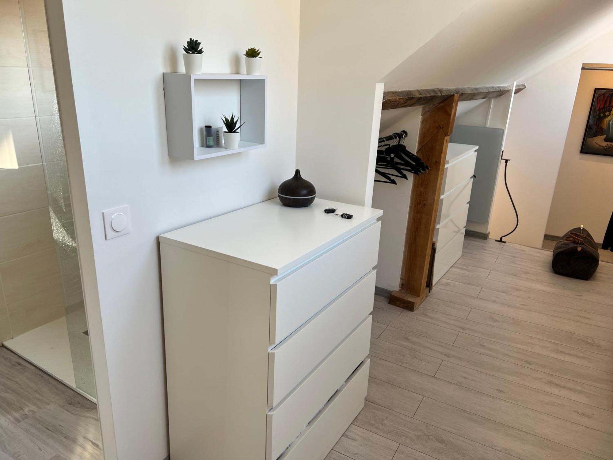 BELLEVUE Appartement sous les toits hypercentre climatisé Dole Esterno foto